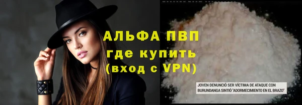 ешки Аркадак