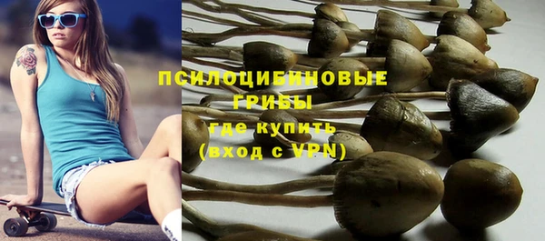 стафф Арсеньев