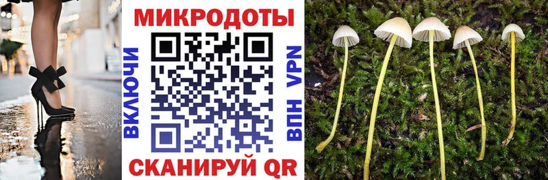 Галлюциногенные грибы Cubensis Кемерово